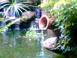 water_feng_shui_for_wealth water_feng_shui_for-wealth