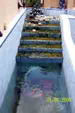 water_feng_shui water_feng_shui